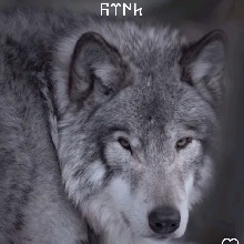 sythk