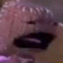 CronicLLyiLL