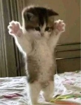 AWRR0N