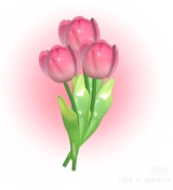 Guest_andrea347