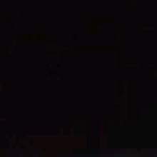 ayani769646