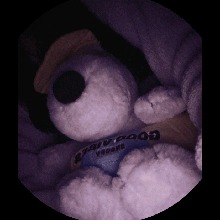 صورة الـavatar