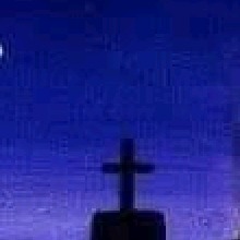Guest_Sergio597210