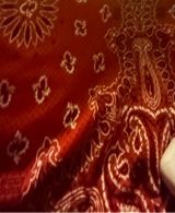 Guest_nocari