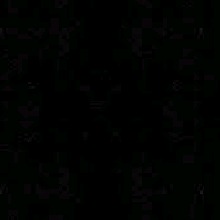 Guest_LucasAshley