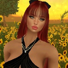 Guest_Estrela936370