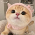 Guest_Nancy6661