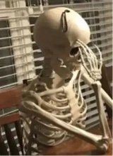 Guest_xxMinkxx