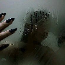 Guest_Mariana603831