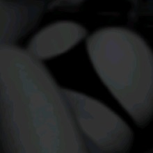 Guest_javiera00002345