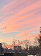 Guest_julene5
