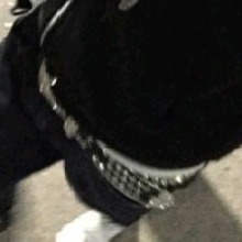 YungFresco