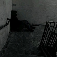 Guest_LUHKJ43