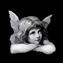 Guest_liviazzkq