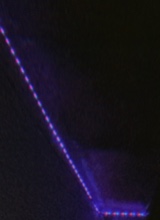 Guest_Ali442518