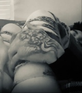Laynperky5L