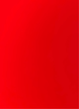 Guest_Larissa181091