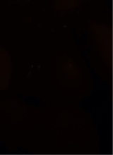 Guest_user3383838383