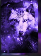 Guest_Zemina1