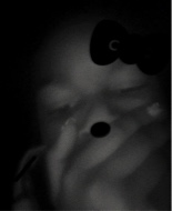 Guest_KennedyMonroe2