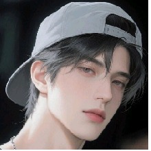 VlDl