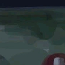 Guest_4s4l
