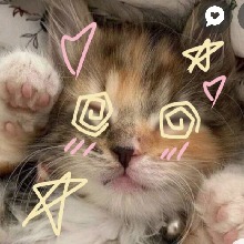Guest_Jen953225