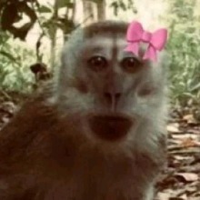 Guest_reginanatrium45e4