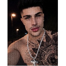 PredadorGato