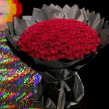 Guest_CARLOS588347