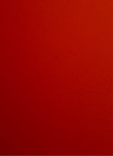 Guest_jason273360