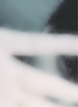 Guest_alexx080
