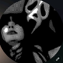Guest_IIboobiesMica