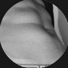 Guest_FILIPCAROK1