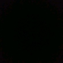 Guest_alma61061