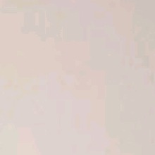 Guest_CelineCC