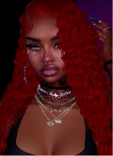 Guest_Rose308163