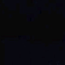 foto avatar