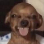 Guest_Laviticuss