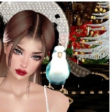 Guest_Soni47990