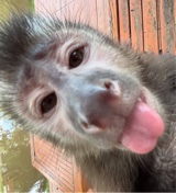 foto del avatar