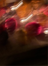 Guest_Andrea647193
