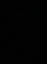 avatarbild