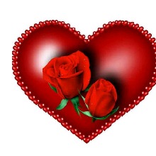Guest_Matias323466
