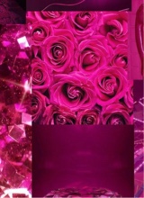 Guest_diorlove832062