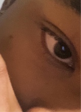 moolahoe1