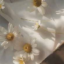 صورة الـavatar