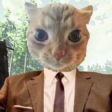 Guest_DAVIDYONSON1