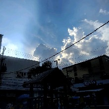Guest_Aninha556863