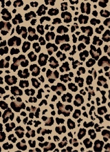 Guest_miltani